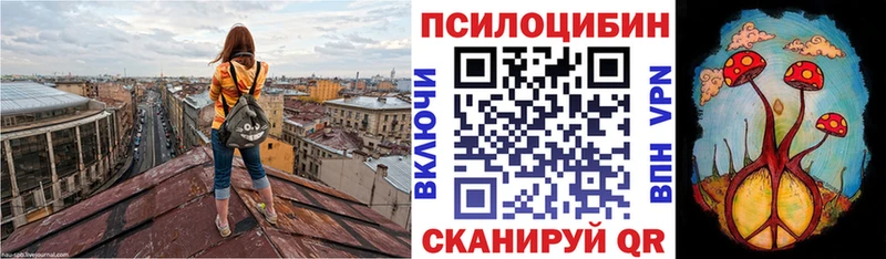 Псилоцибиновые грибы мицелий  Купить где  Курильск 