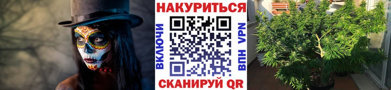 Купить Курильск Канабис индика